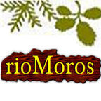 Blog Río Moros