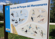 Parque Lineal del Manzanares