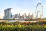 Singapur anticipa el futuro del urbanismo: sostenible, innovador y bello